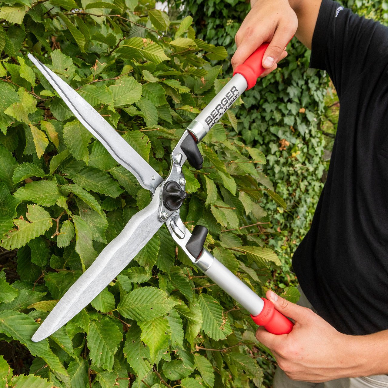 Loppers and Hedge Shears - KC Tool