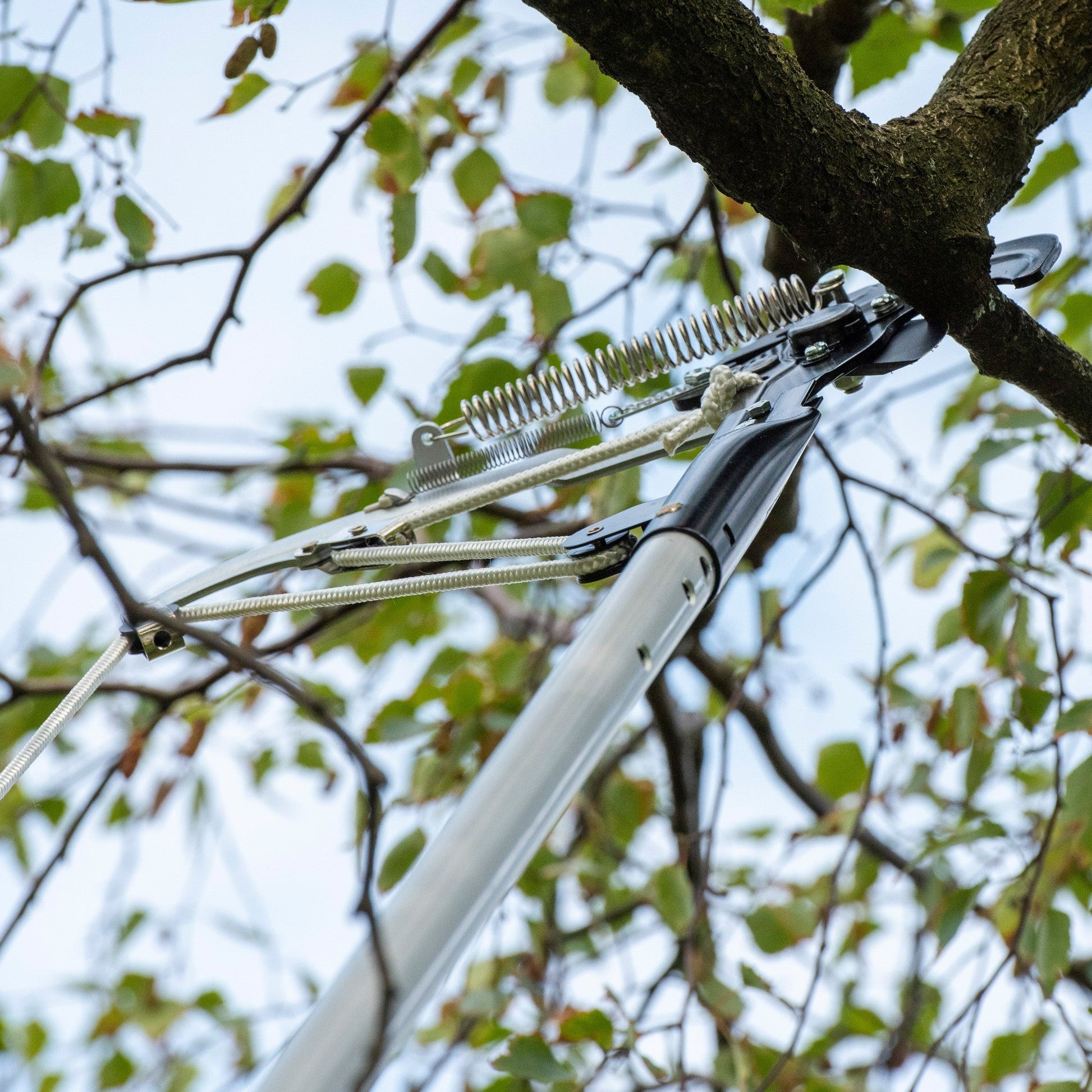 Berger ArboRapid Pole Pruner Attachment - BG5430 - KC Tool