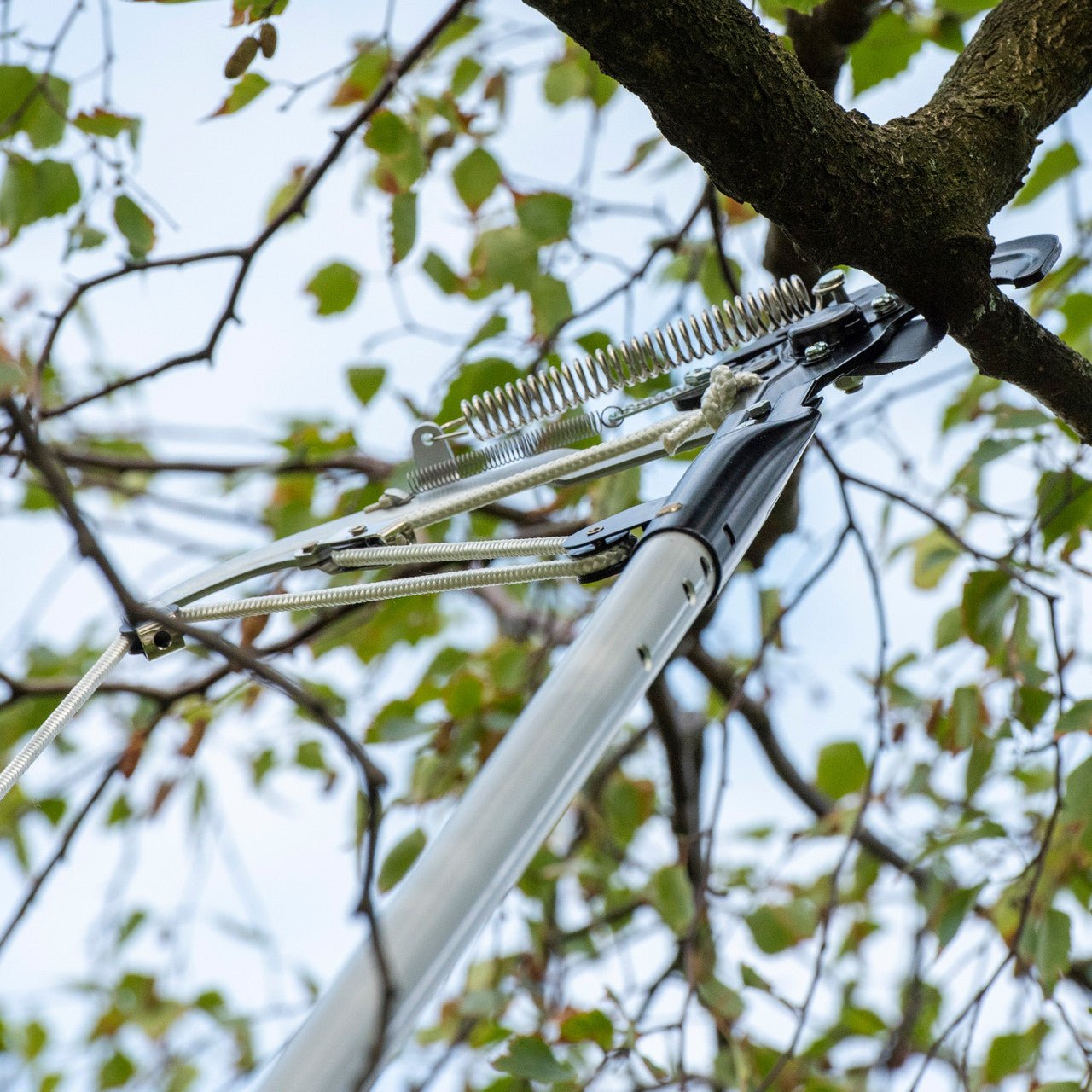 Berger ArboRapid Pole Pruner Attachment - BG5430 - KC Tool