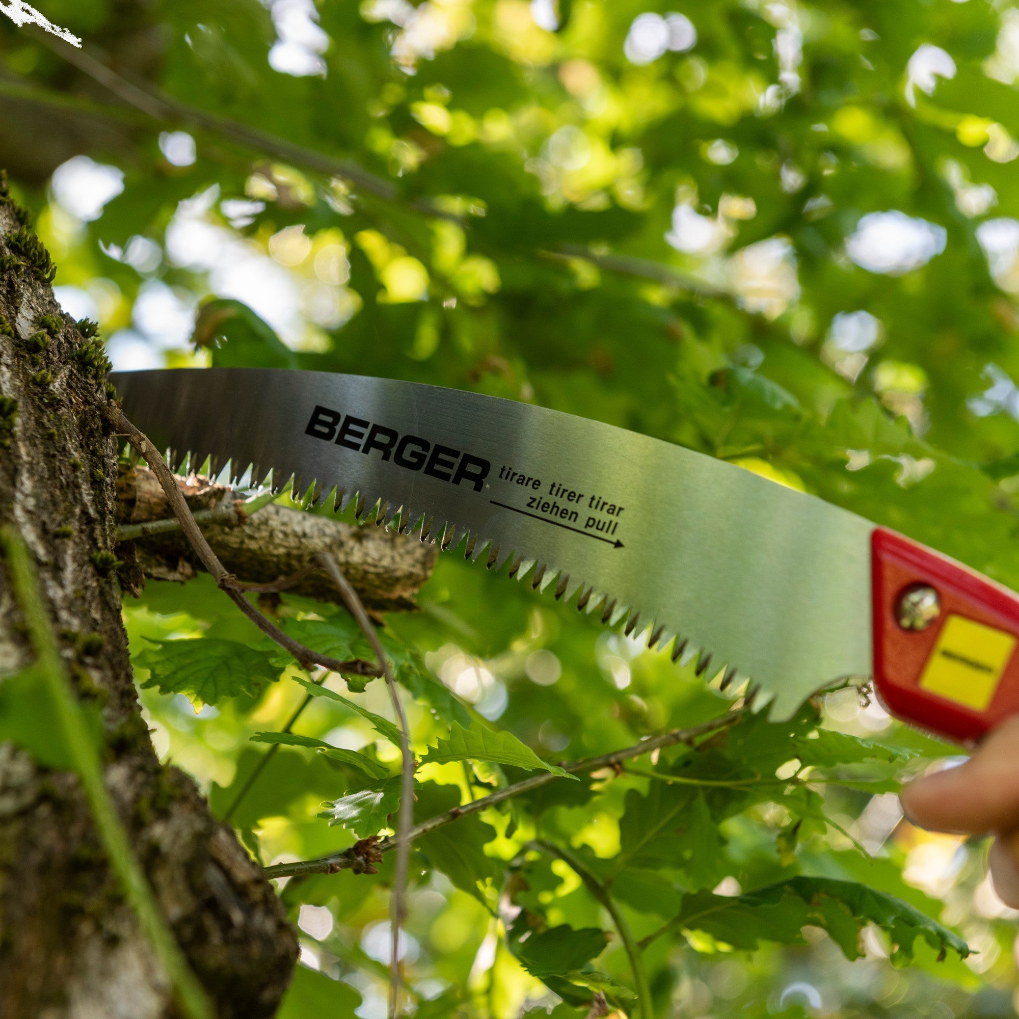 Berger Curved Blade Pruning Saw with Sheath, 13" - BG64850 - KC Tool
