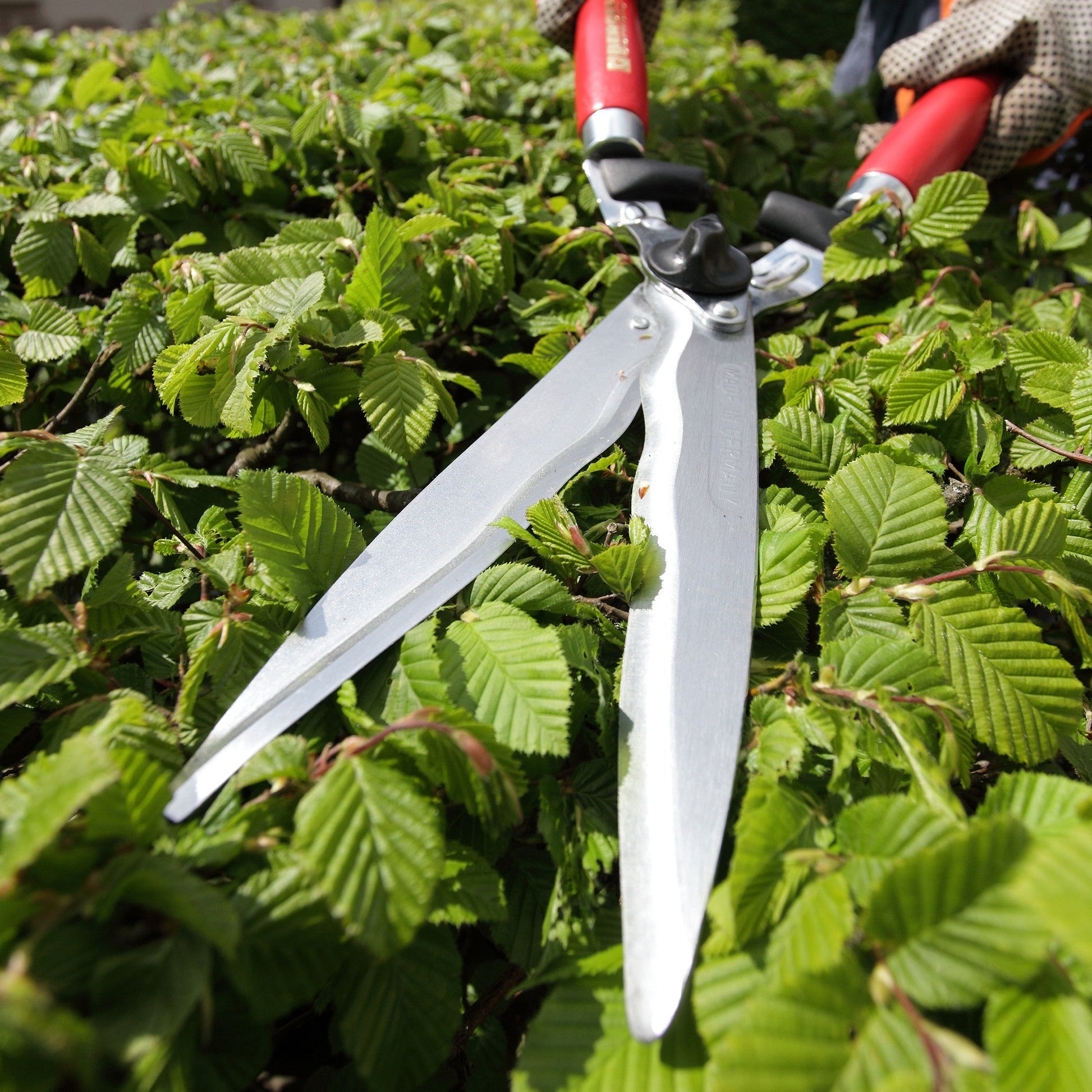 Berger Hedge Shear with Wavy Blades, Wood Handle, 24" - BG4590 - KC Tool