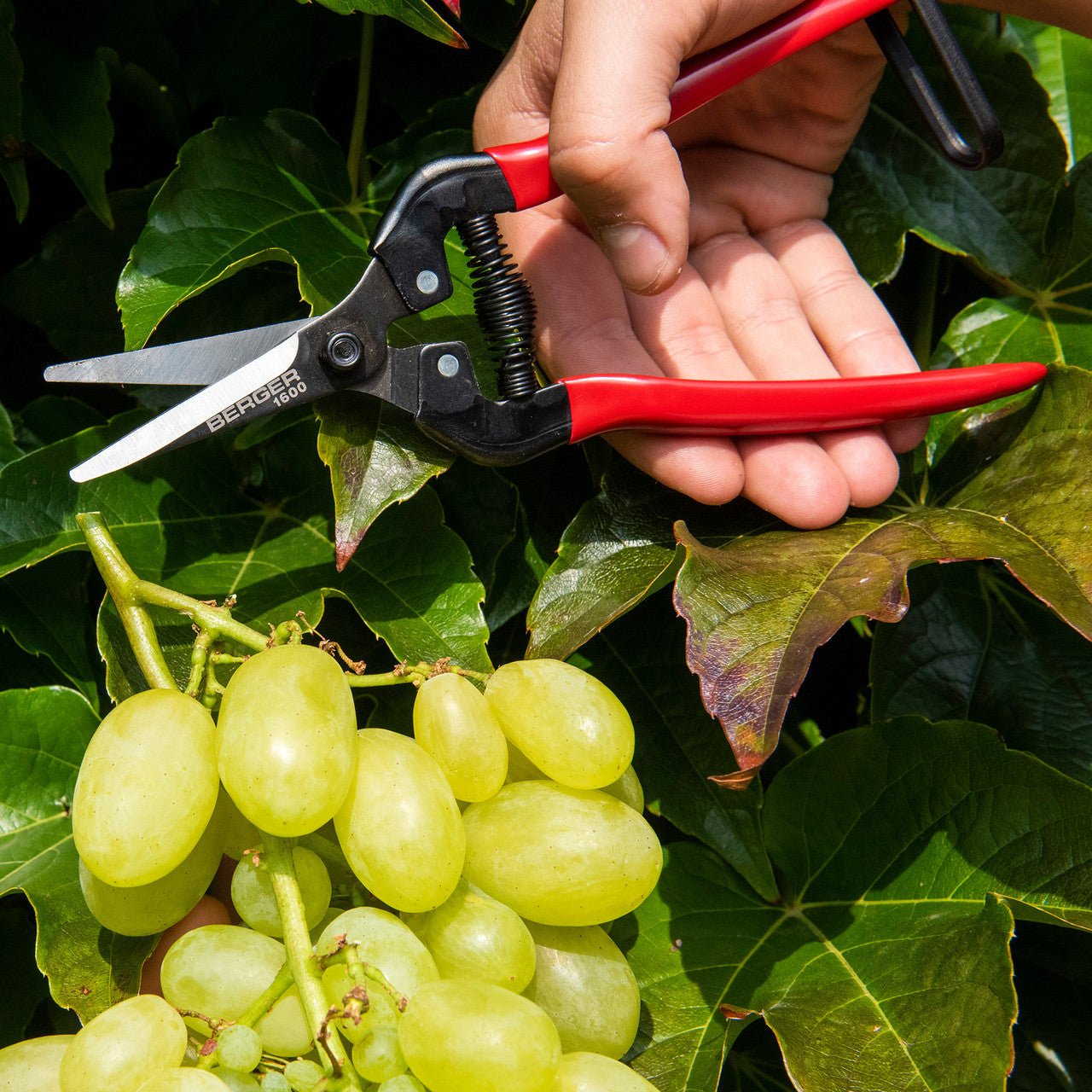 Berger Lightweight Snips, 7.5" - BG1600 - KC Tool