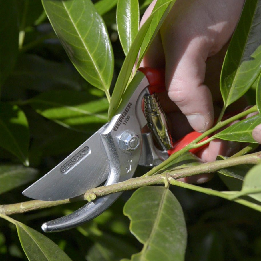 Berger Pruning Hand Shear, 25 Degree Angled, 8.7" - BG1700 - KC Tool