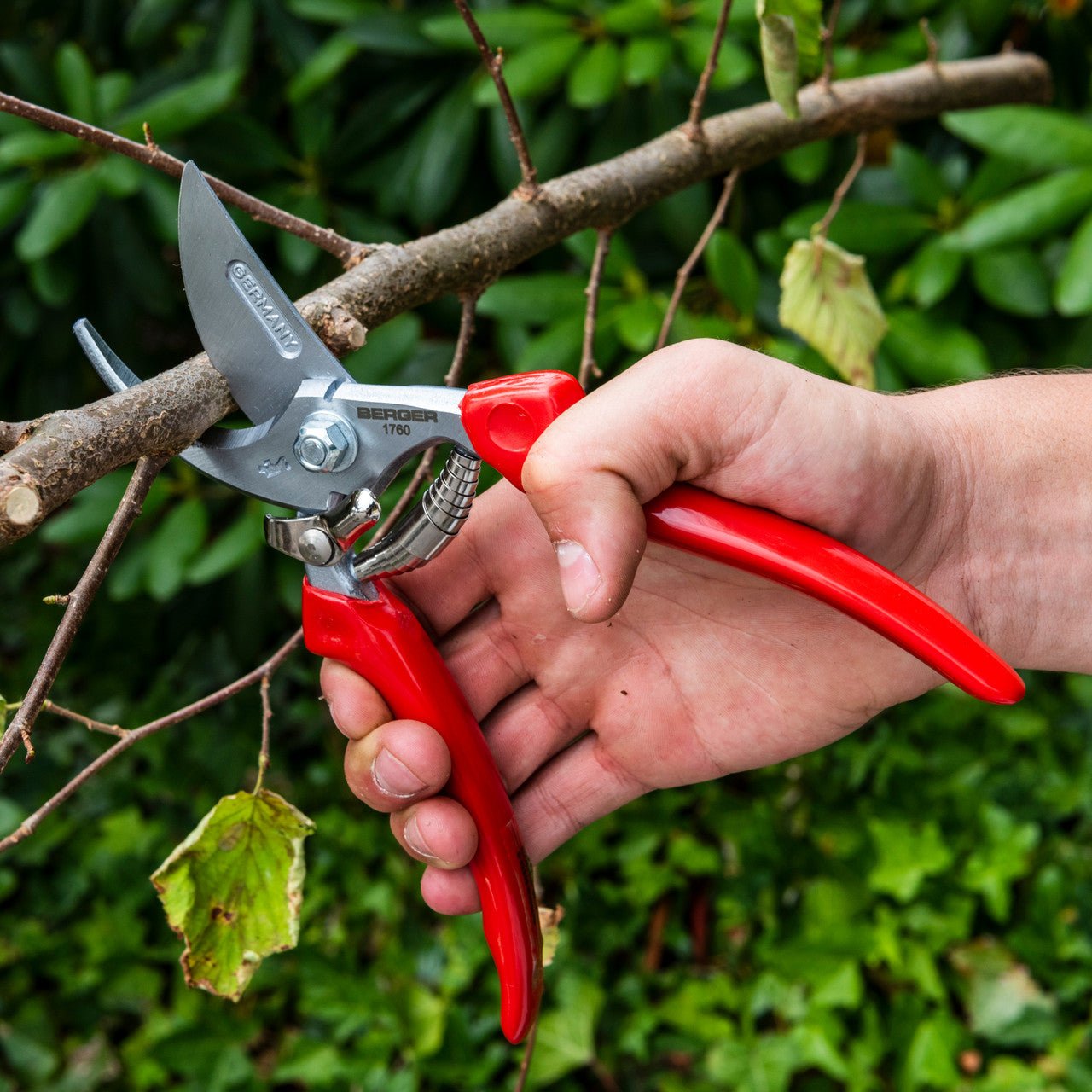 Berger Pruning Hand Shear, 8.7" - BG1760 - KC Tool