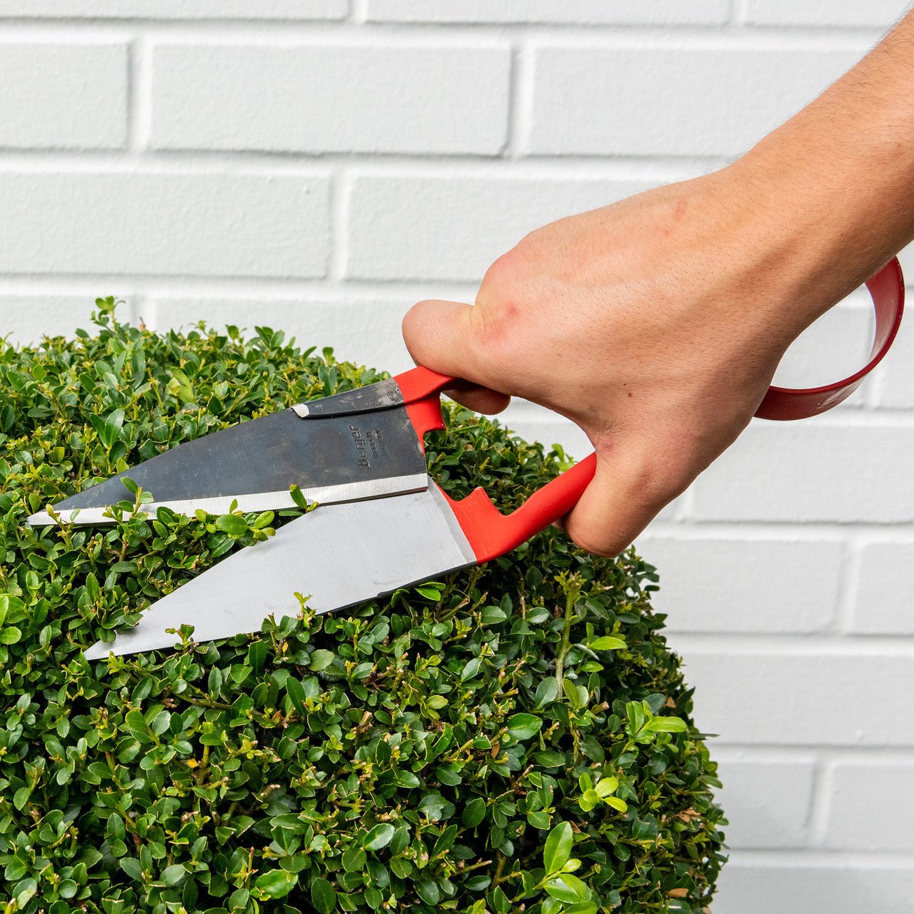 Berger Topiary Shear with 5.5" Blade, 12" - BG27310 - KC Tool