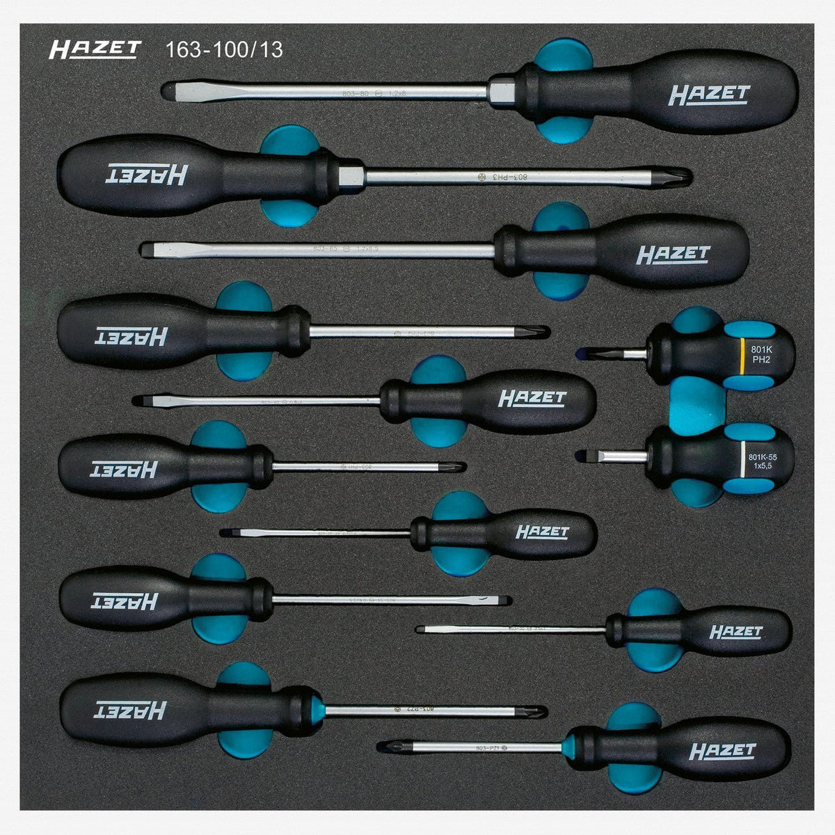 Hazet 163-100/13 Screwdriver set - HZ163-100/13 - KC Tool