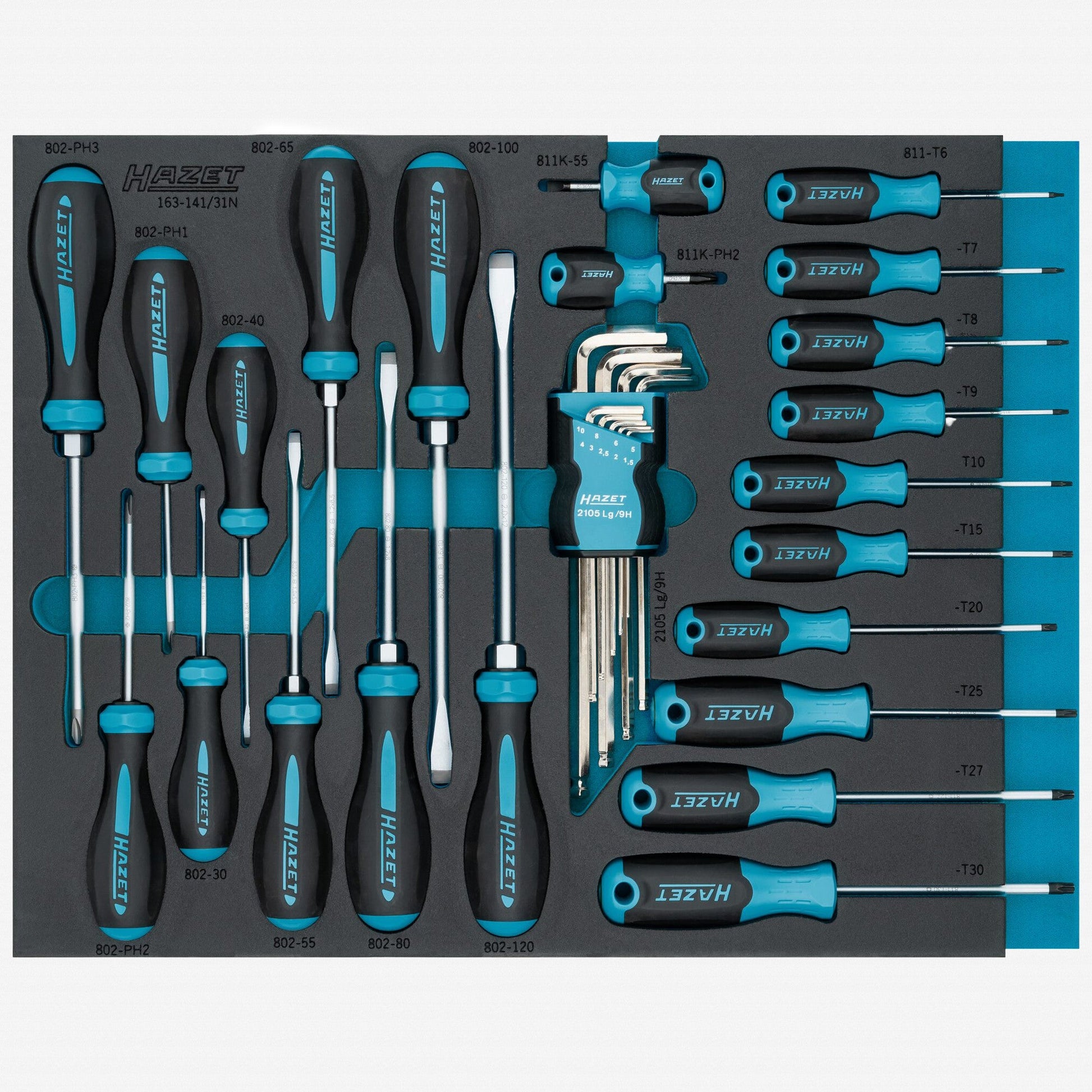 Hazet 163-141/31N Screwdriver Set, 31 Pieces - HZ163-141/31N - KC Tool