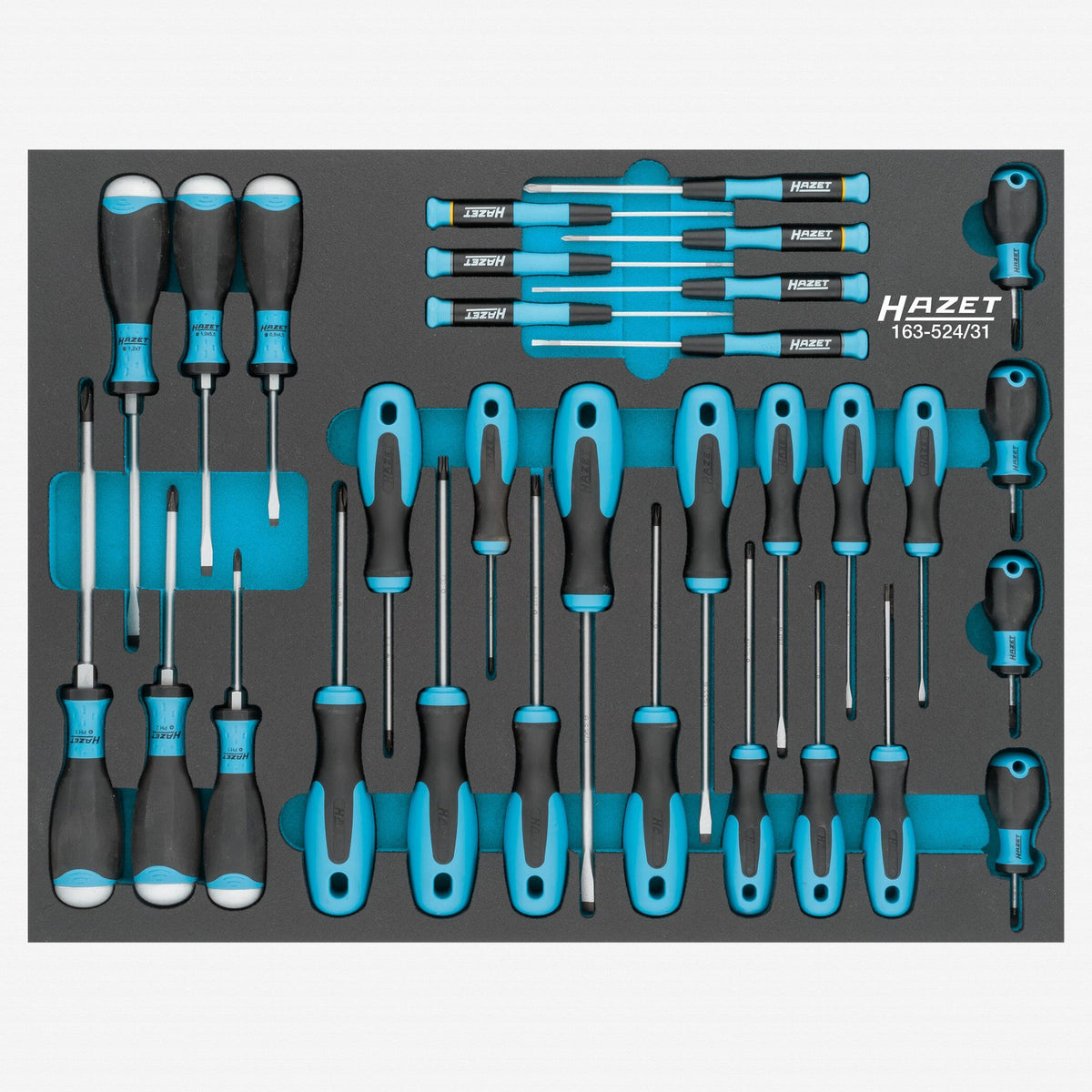 Hazet 163-524/31 Phillips/Slotted/TORX® Screwdriver Set, 31 Pieces - HZ163-524/31 - KC Tool
