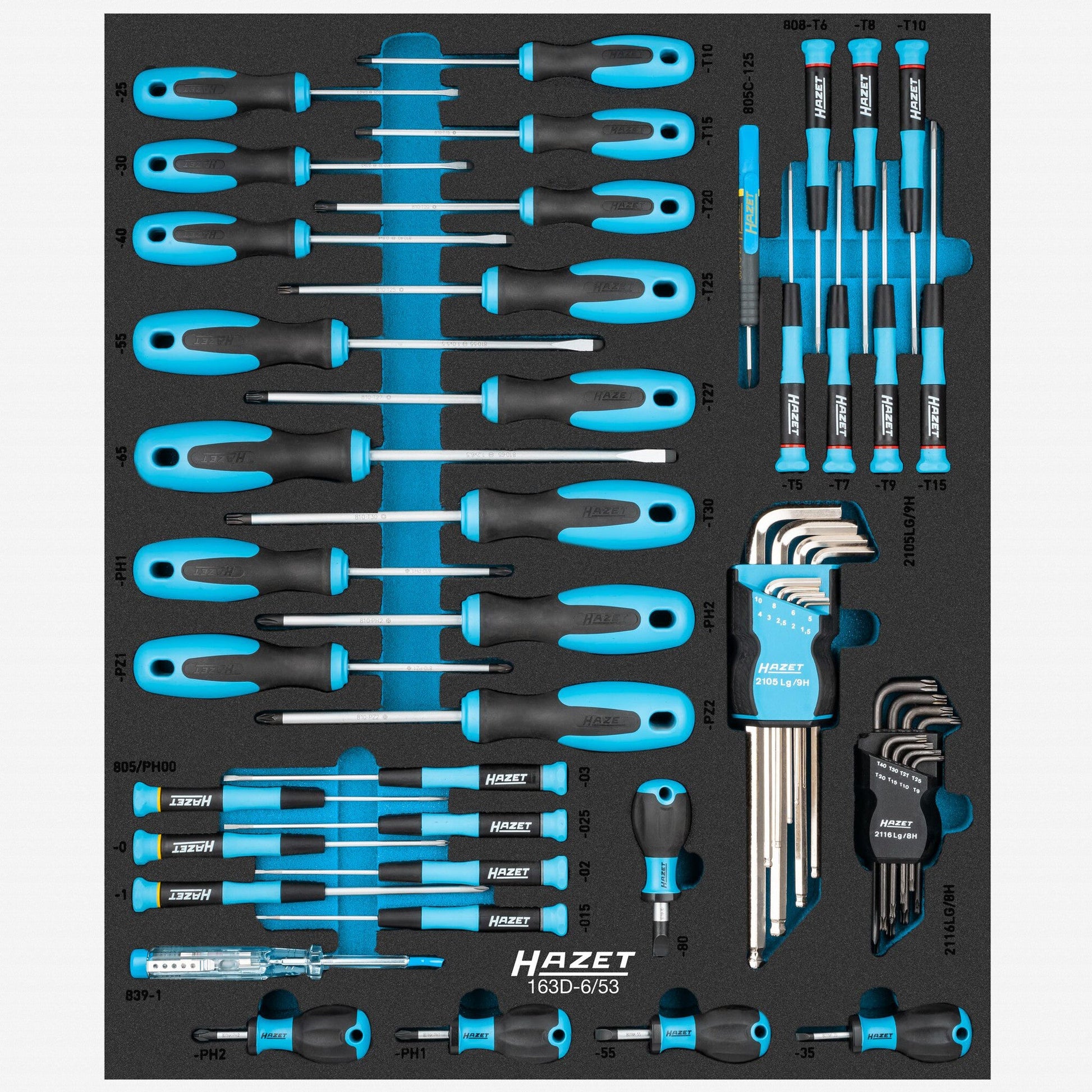 Hazet 163D-6/53 Screwdriver Set in Foam Tray, 53 Pieces - HZ163D-6/53 - KC Tool