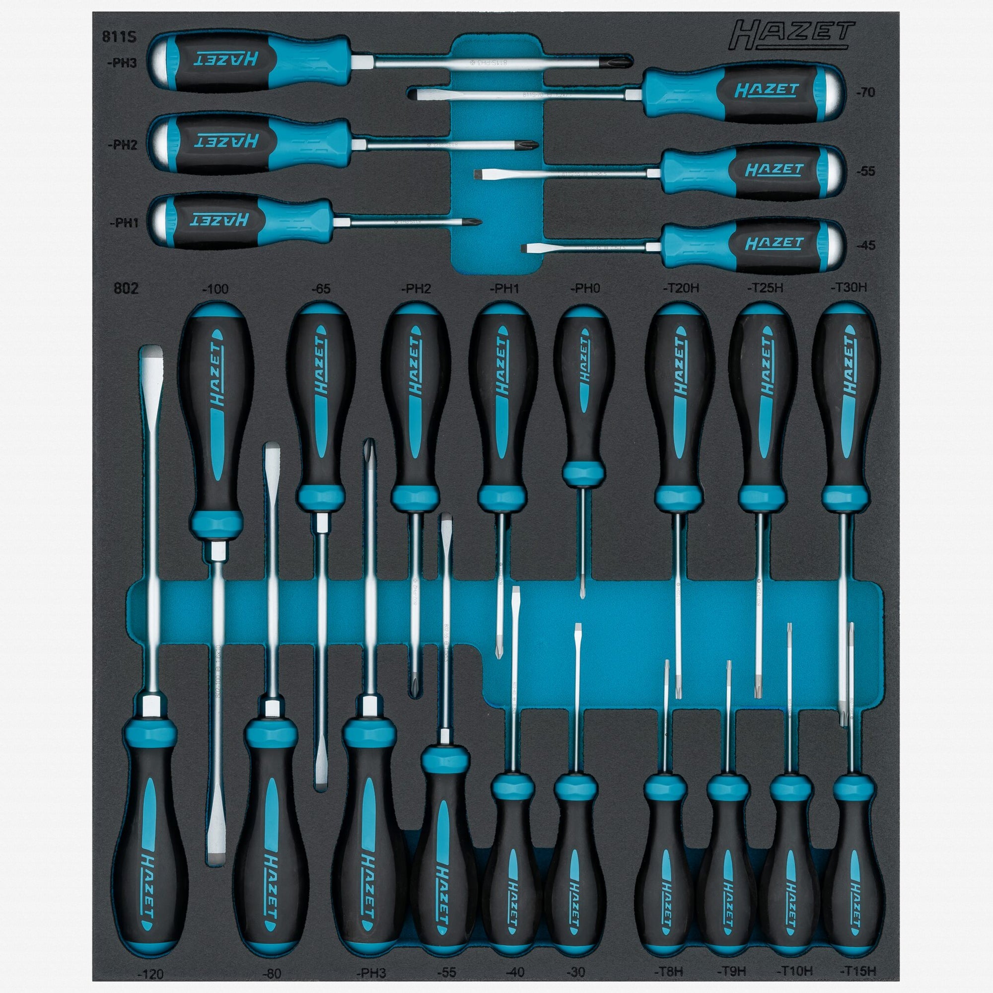 Hazet 163D-7/24N Screwdriver Set, 24 Pieces - HZ163D-7/24N - KC Tool