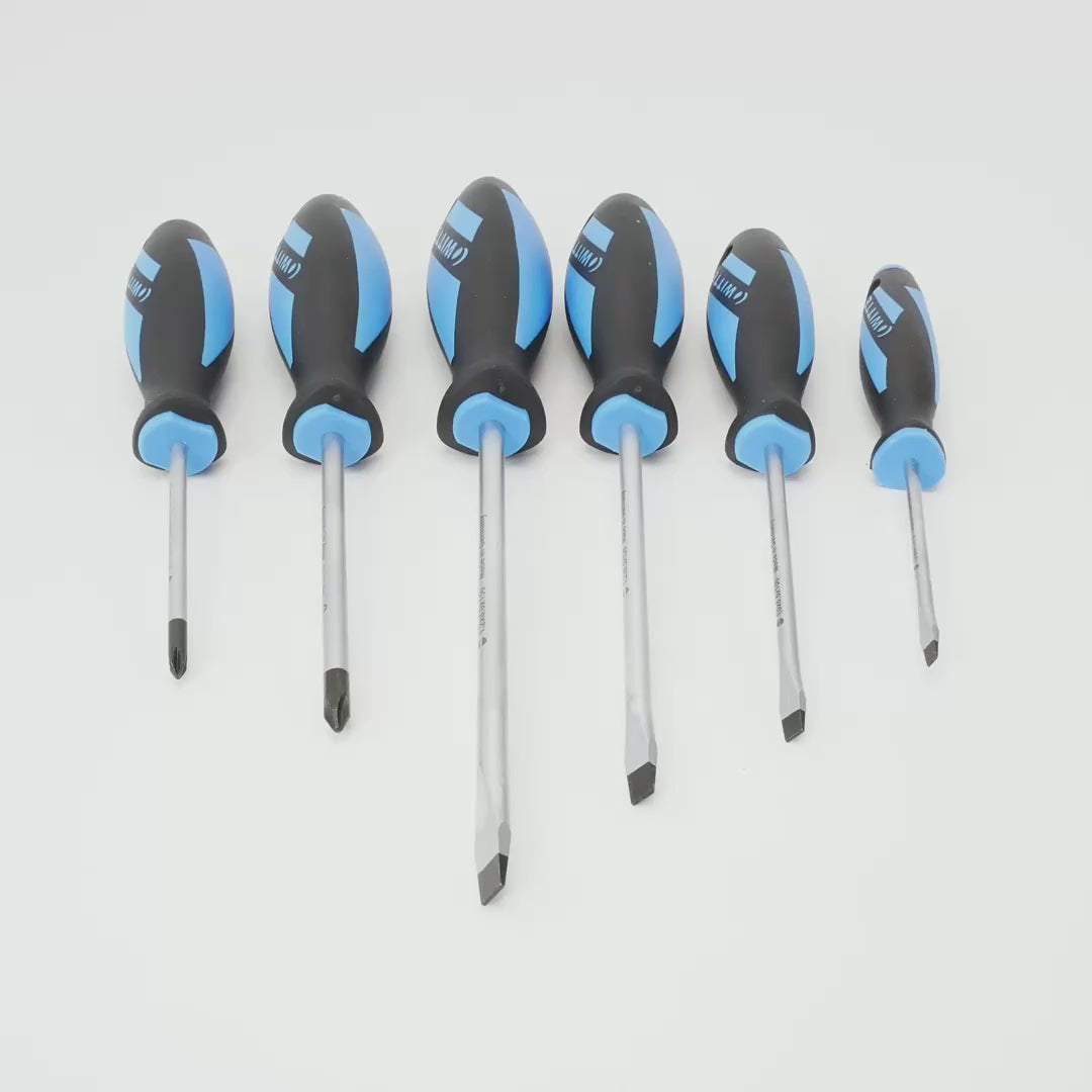 Load video: Witte Maxx Slotted and Phillips Screwdriver Set, 6 Pieces