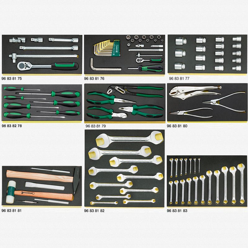 Stahlwille 806/9 TCS TCS Tool Set - ST98830004 - KC Tool